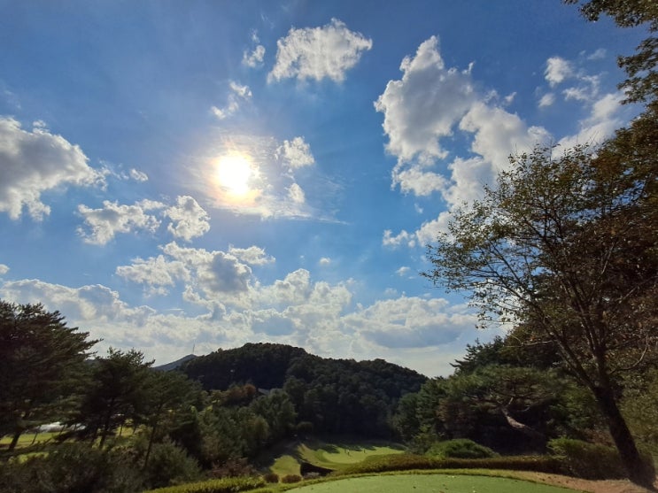 첫 라운딩이 긴장될 때｜15년 캐디가 점수보다 먼저 보는 마음가짐